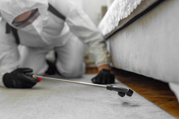 Professional Bed Bug Control technician working in Taos, NM