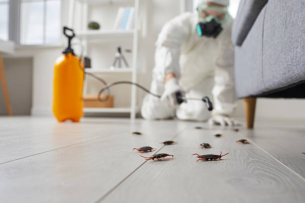 Trusted Fumigation Services service in Taos, NM - Nex Pest Control