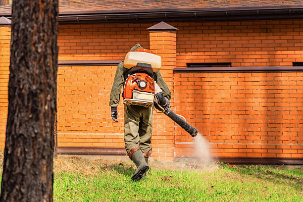 Trusted Ant Control service in Taos, NM - Nex Pest Control